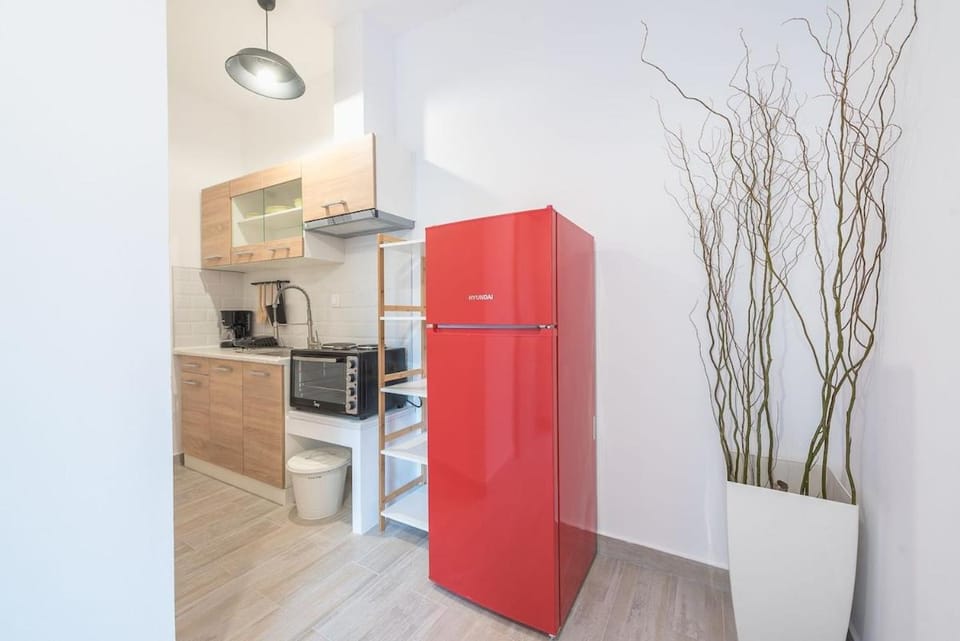 apartment10minutesfrommonastiraki Apartment in Piraeus Regional Unit, Greece