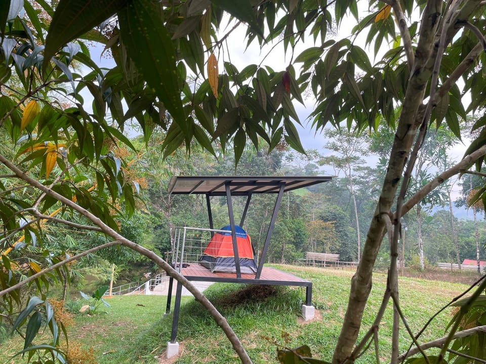 Camping bajo techo y con estilo Campground/ 
RV Resort in Antioquia