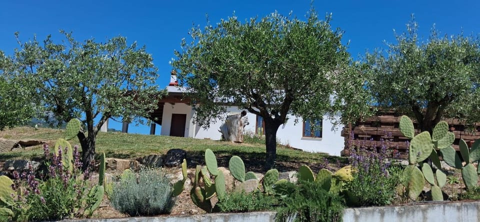 Terra Lenù House in Campania
