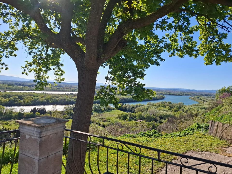 Property building, Garden view