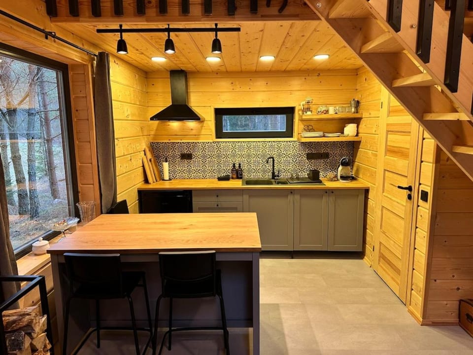 Local Forest House in Vilnius County, Lithuania