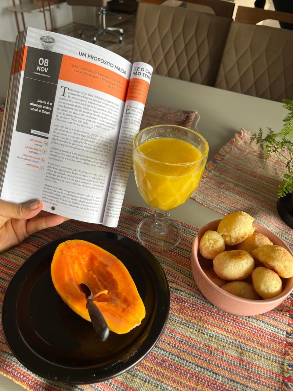 Casinha de sapé Country House in State of Rio de Janeiro