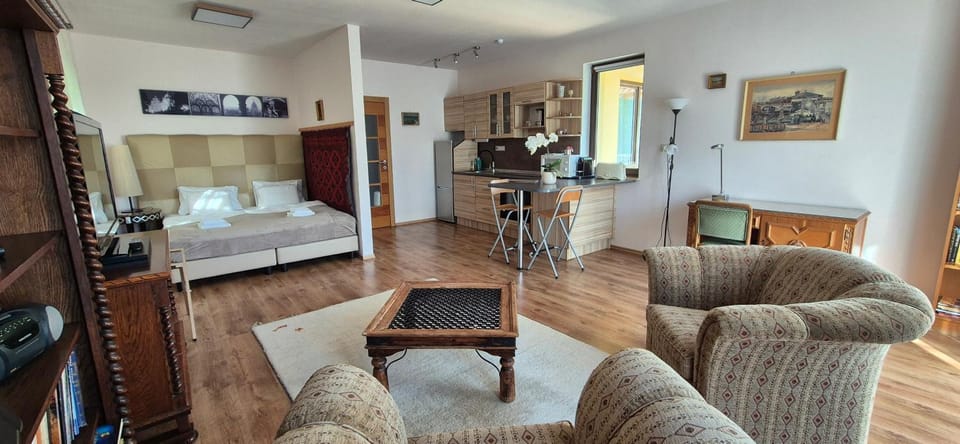 Kitchen or kitchenette, Living room, Bedroom