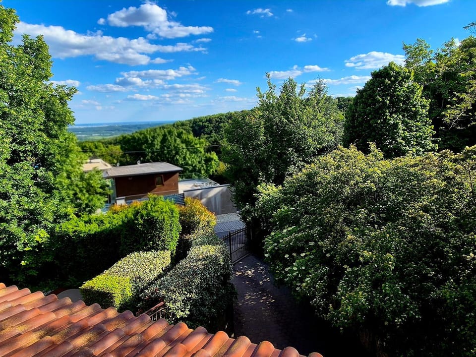Natural landscape, Garden, Garden view