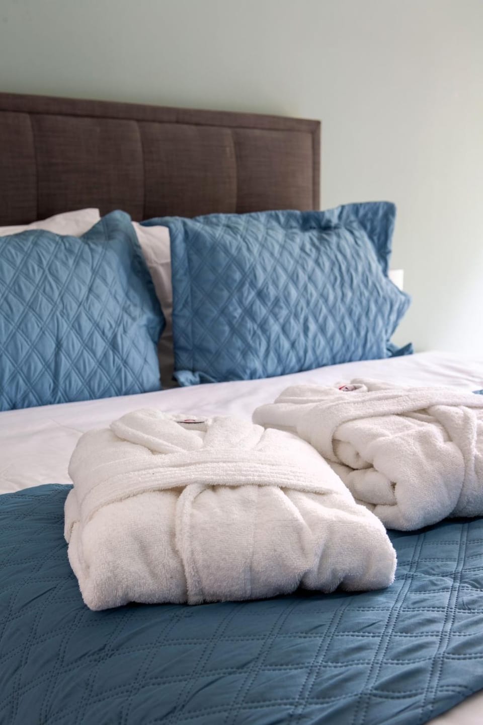 Charming Guest House in Amazing Exeter Location Apartment in Exeter