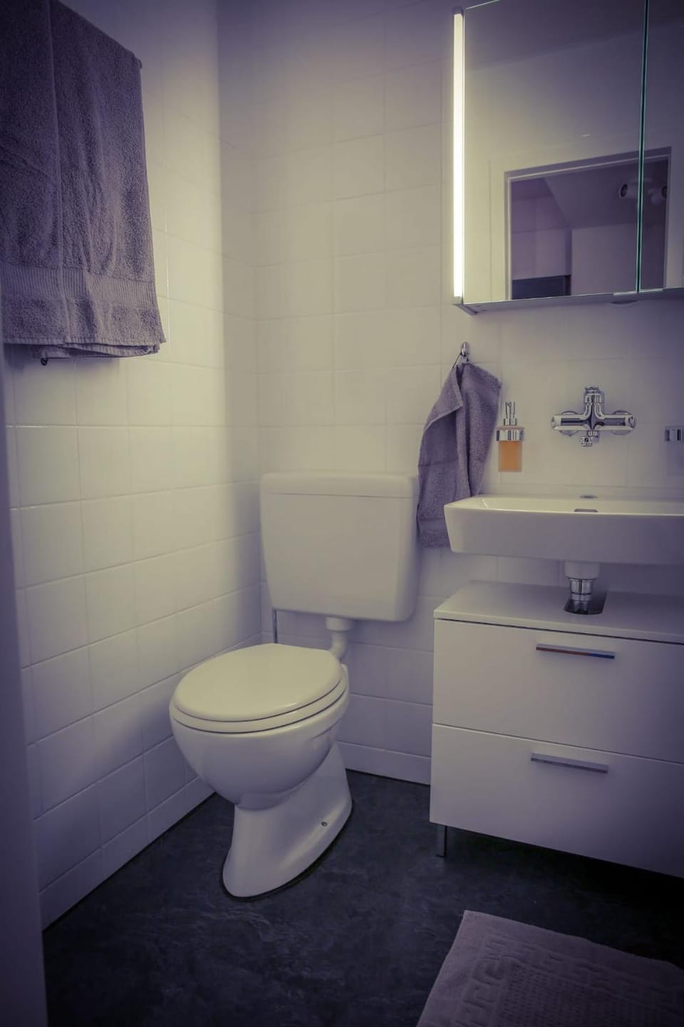 Toilet, Bathroom