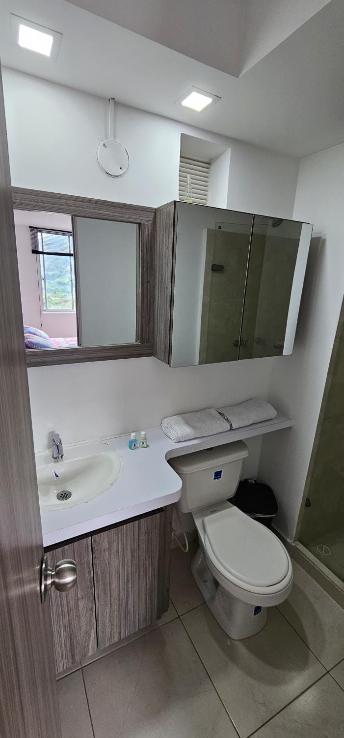 Shower, Bathroom