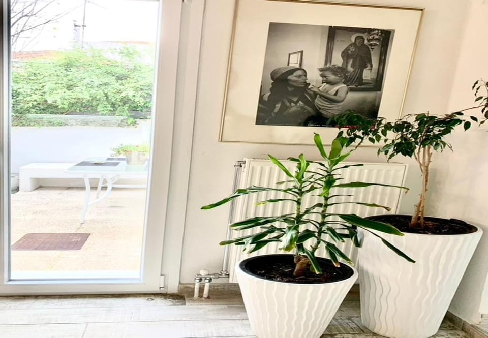 Living room, Seating area, Garden view