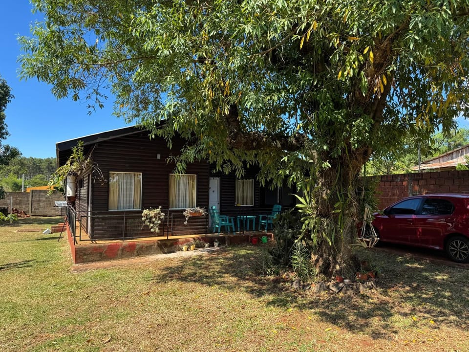 Garden, Garden view, Street view