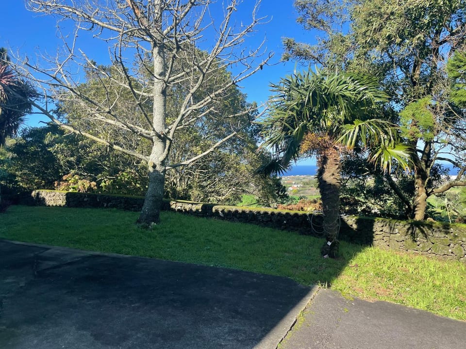 Casa dos Plátanos quarto branco Vacation rental in Azores District