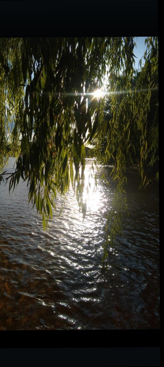 Natural landscape