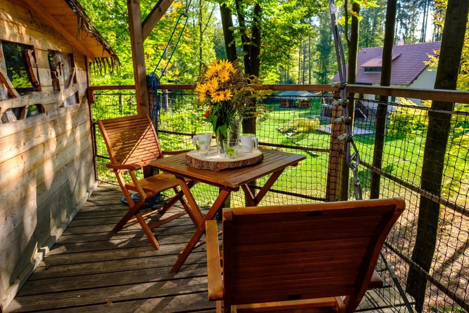 Spring, Day, Summer, Garden, View (from property/room), Garden view