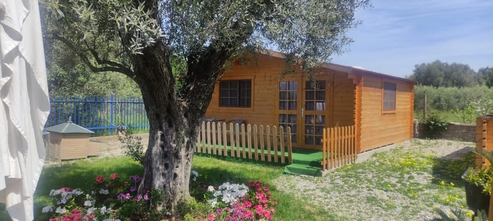 Il Paradiso Apartment in Calabria