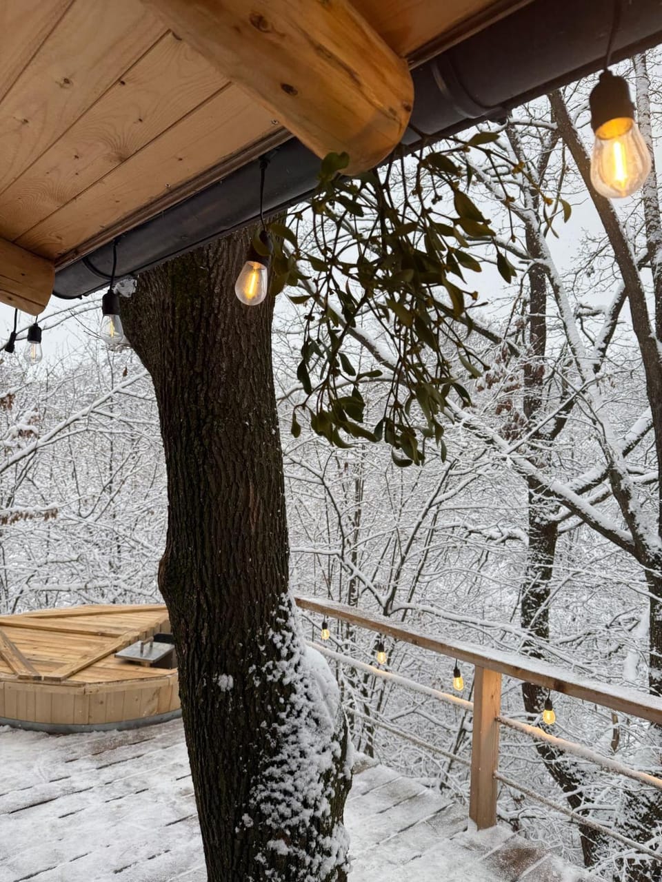 Cabana A House in Romania