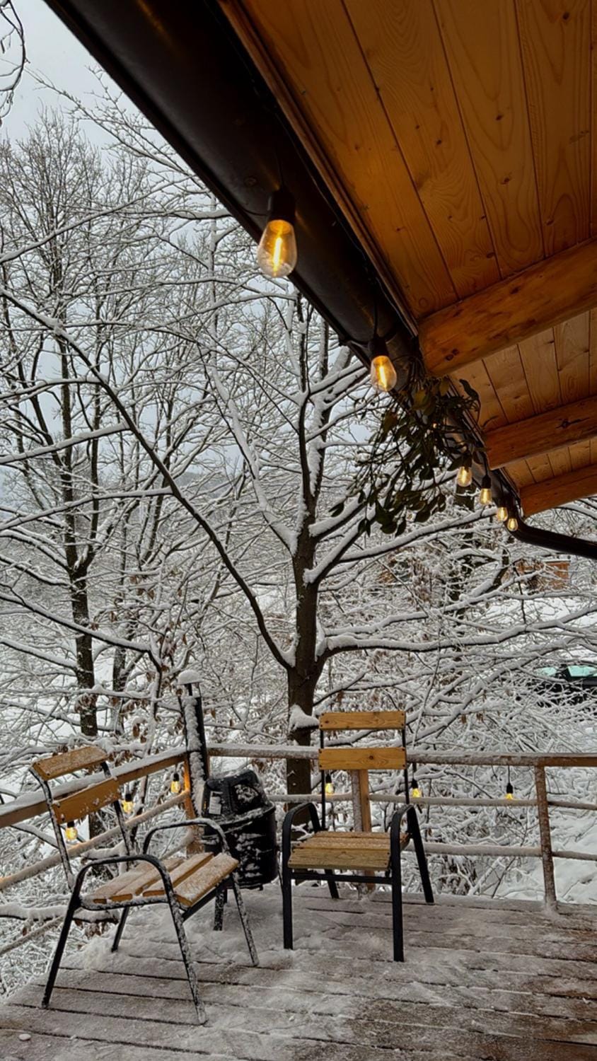 Cabana A House in Romania