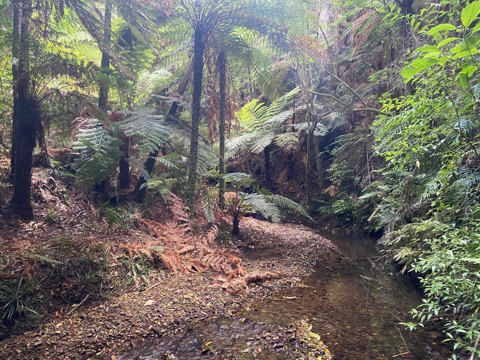 Natural landscape, Garden