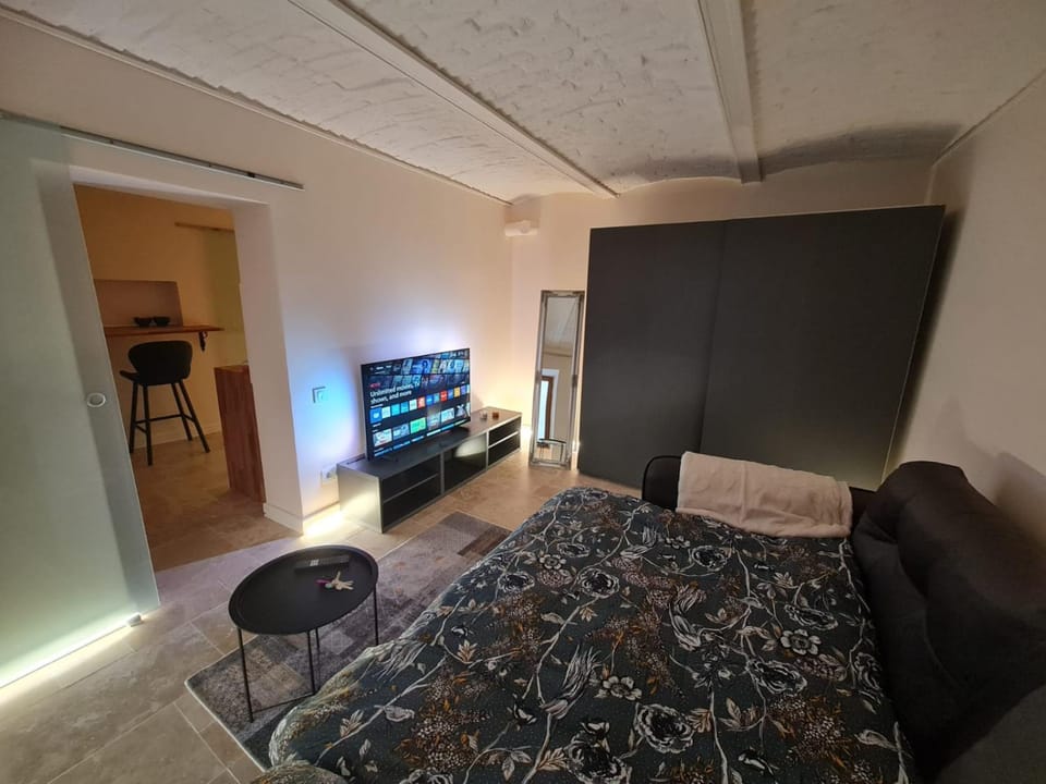 Bed, TV and multimedia, Living room, Photo of the whole room, Evening entertainment, Bedroom