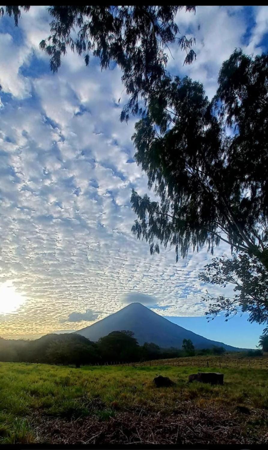 La inculta hostel Ometepe Bed and Breakfast in Rivas