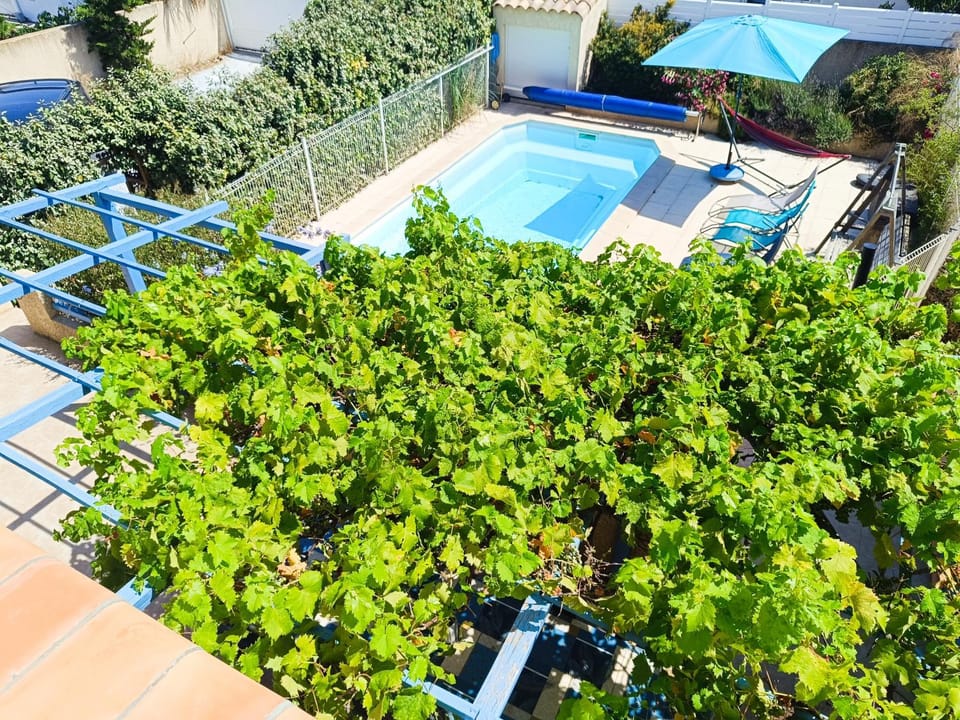 Garden view, Swimming pool