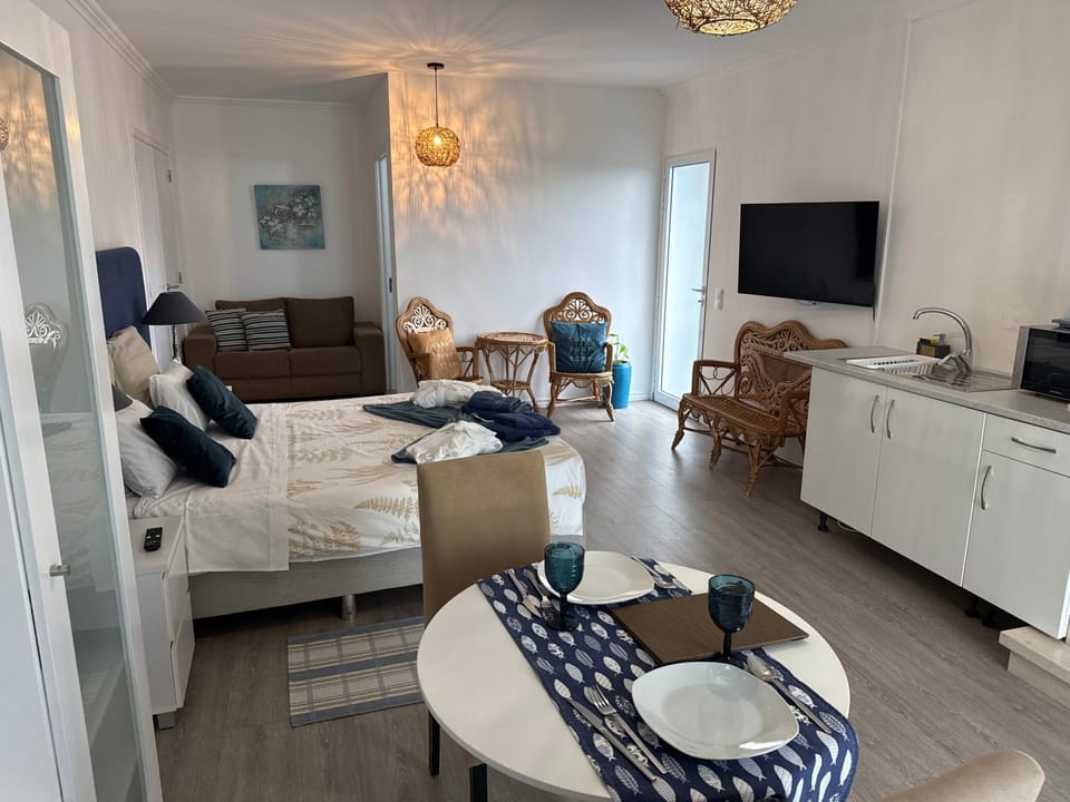 Bed, TV and multimedia, Kitchen or kitchenette, Living room, Photo of the whole room, Seating area, Dining area, Bedroom
