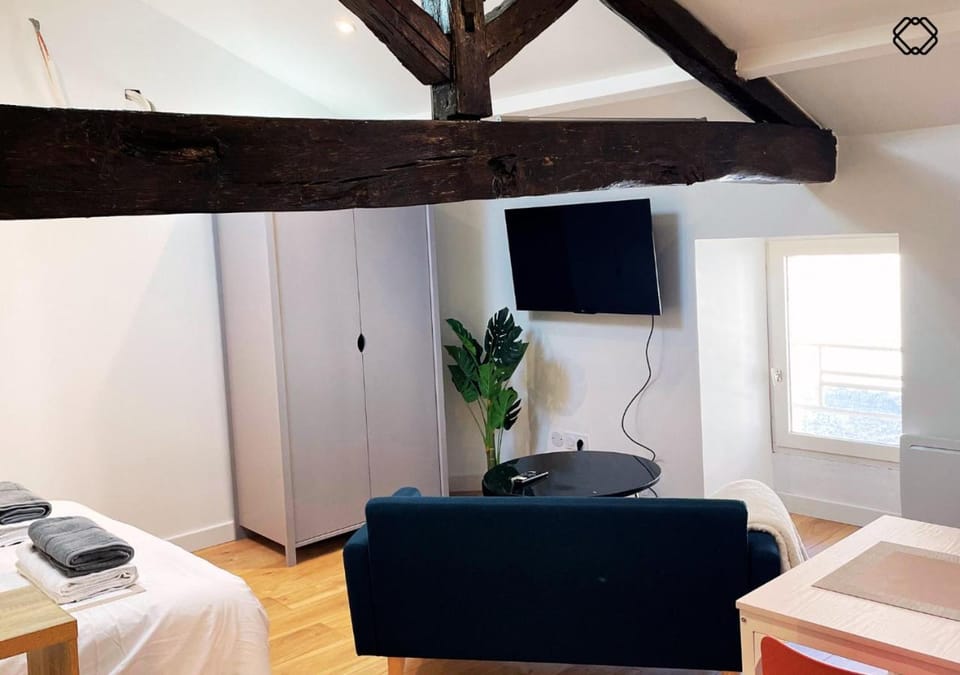 Studio Nid Urbain Apartment in Angoulême