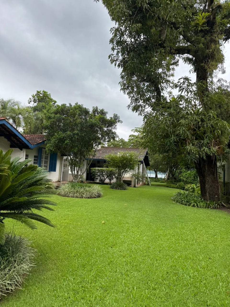Natural landscape, Garden, Garden view
