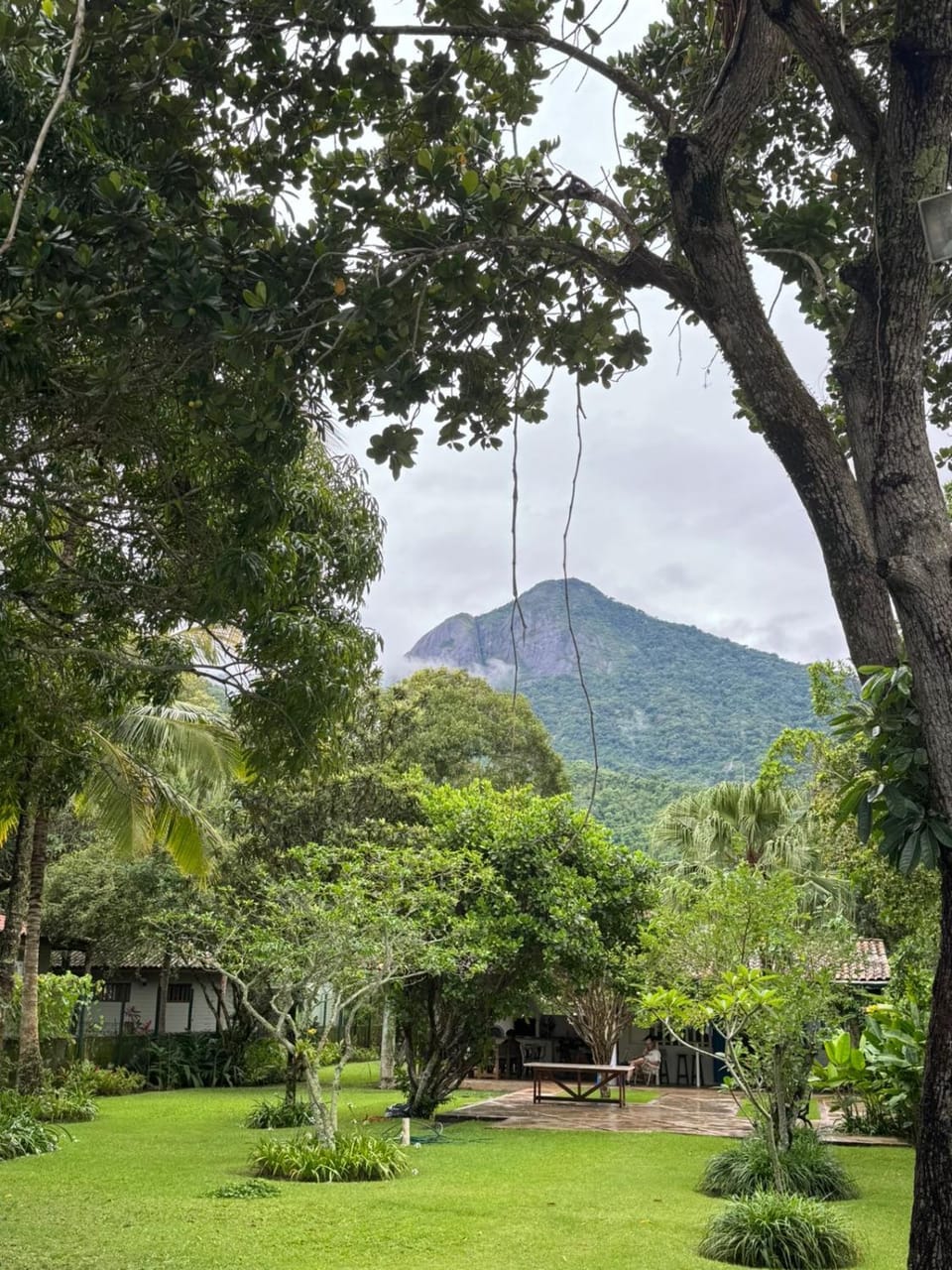 Mountain view