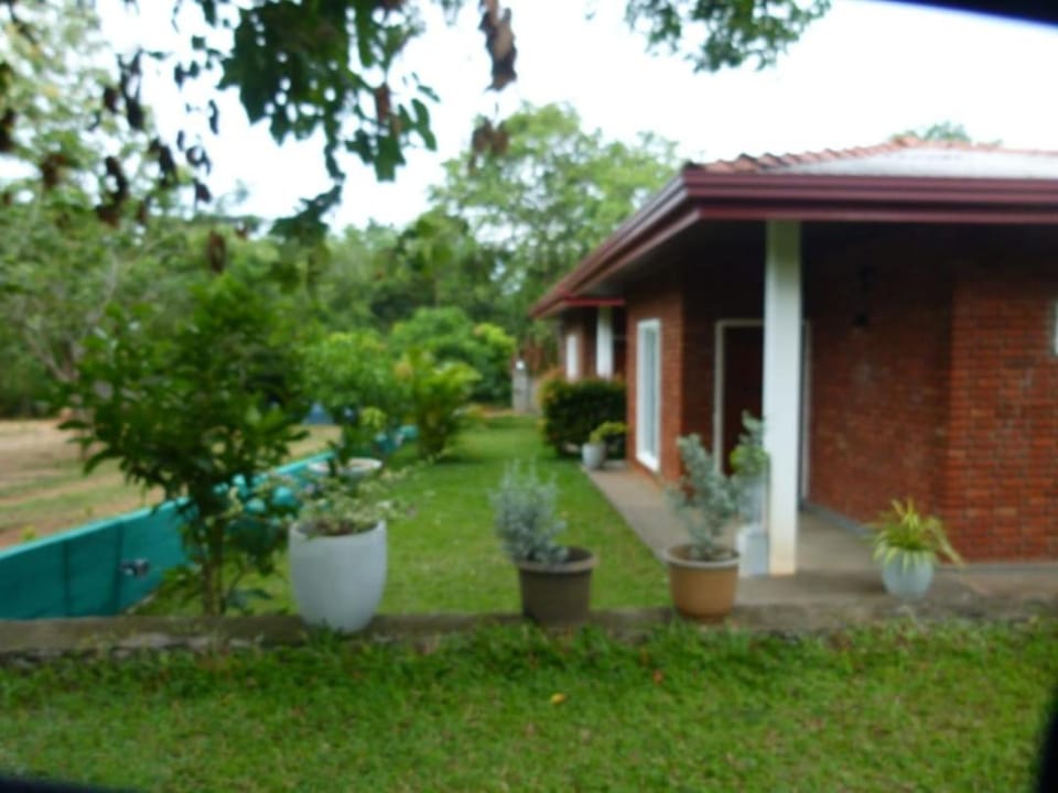 Suriya Cottage Family Resort Chalet in Sri Lanka