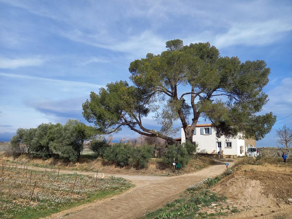 Domaine Saint Augustin House in Occitanie