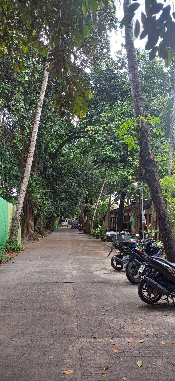 Natural landscape, Cycling