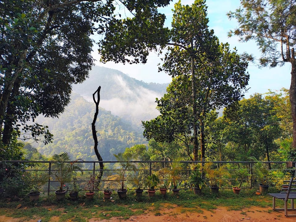 View (from property/room)