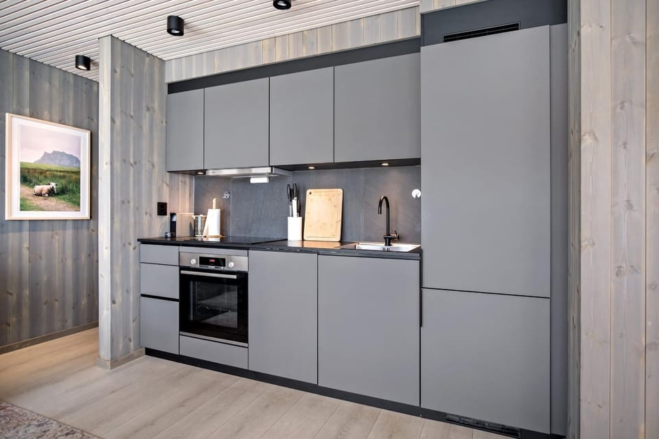 Kitchen or kitchenette, dishwasher, oven, stove, kitchen