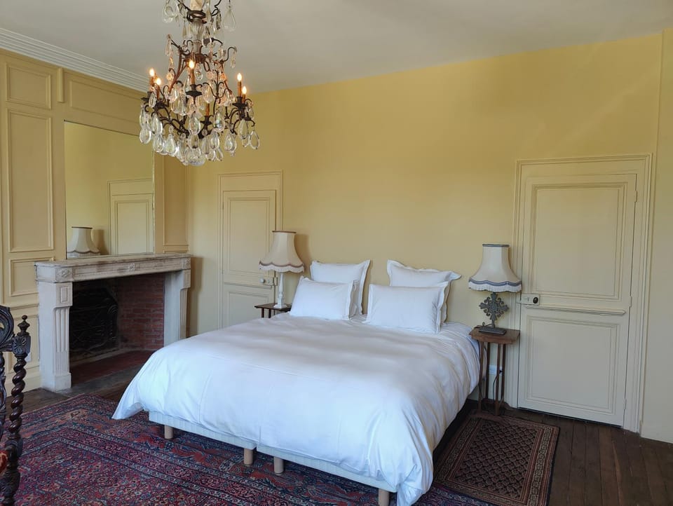 Le Château du Sollier - Charme calme et confort climatisation à 5mn du peage de Bourges à la campagne - stationnement privé Apartment hotel in Centre-Val de Loire