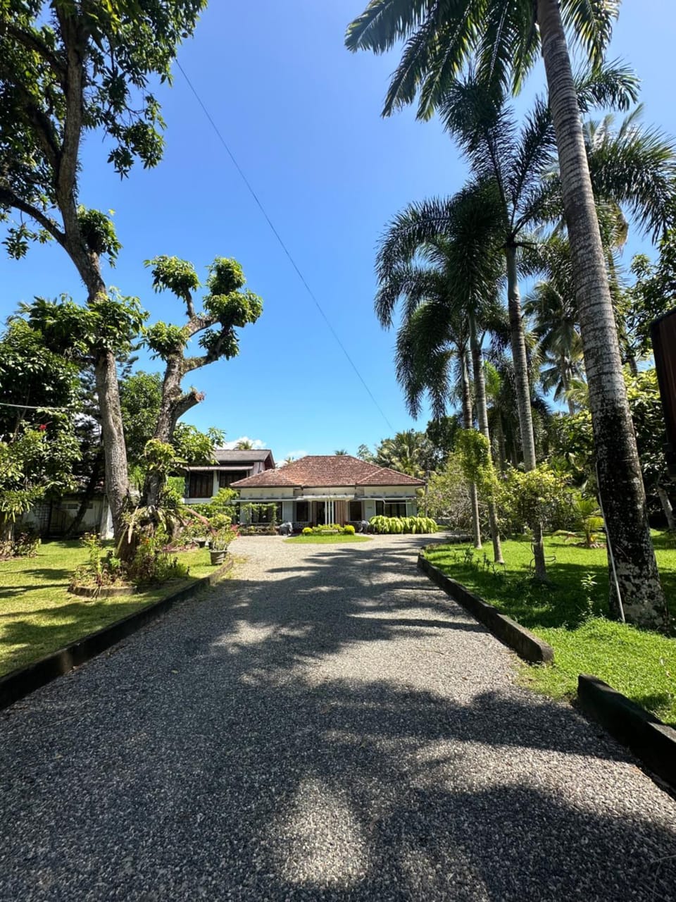 Property building, Day, Garden view