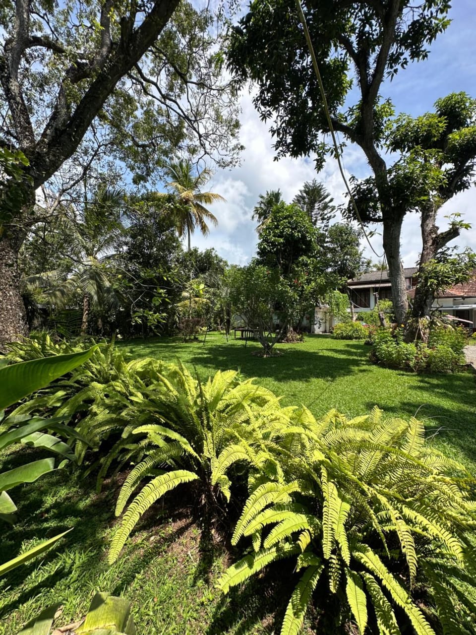 Day, Natural landscape, Garden, Garden view
