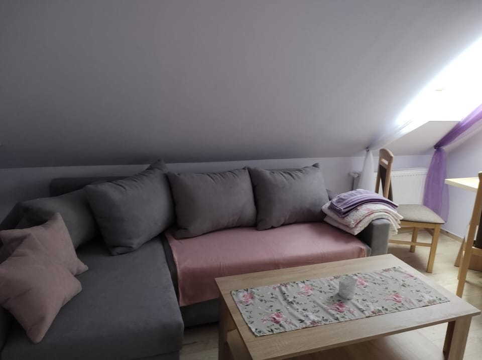 Pensjonat Lissa Apartment in Lower Silesian Voivodeship