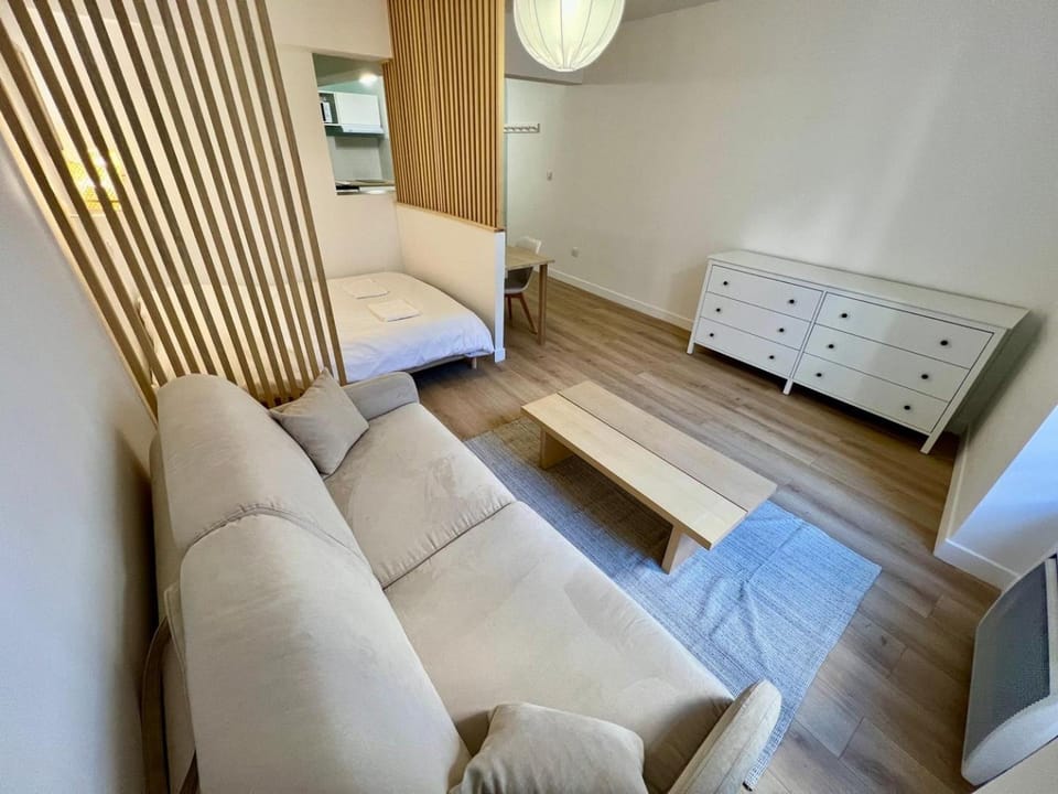 Large bright studio Apartment in Poitiers