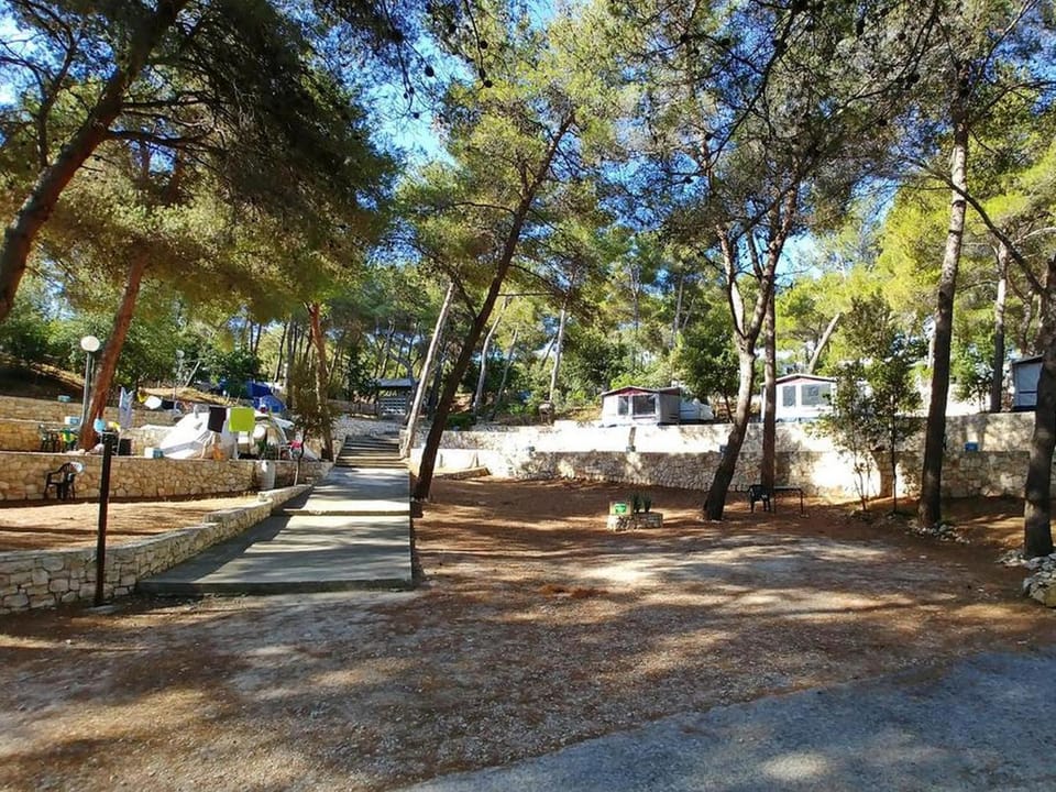 Garden, View (from property/room), Garden view, Landmark view, Family