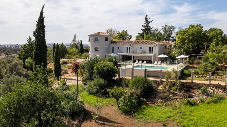 Property building, Natural landscape, Garden, Garden view, Pool view, sunbed