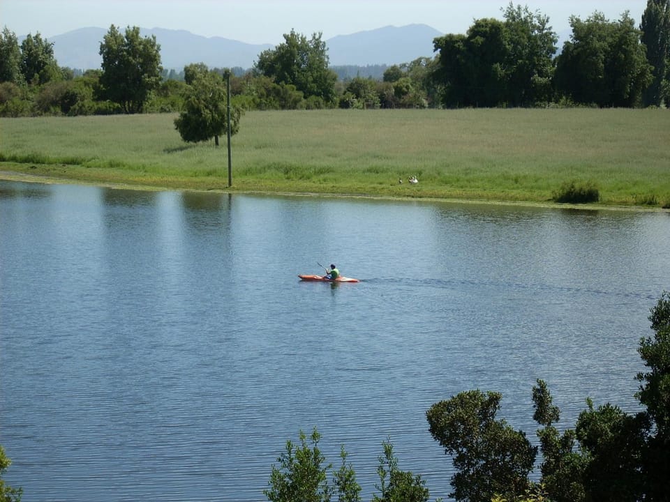 Lake view