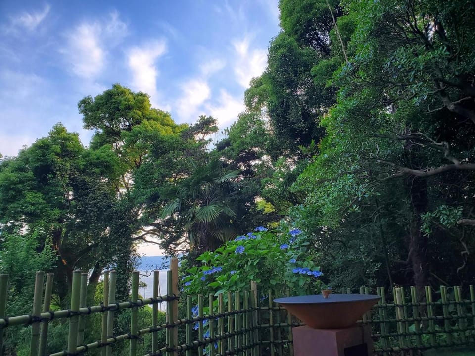 Garden, View (from property/room)