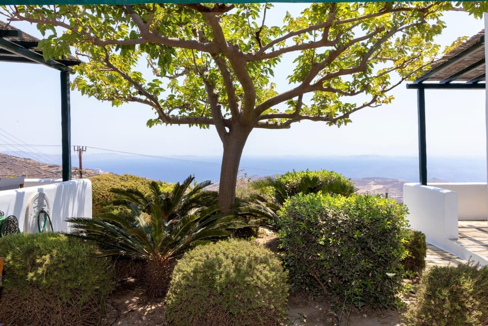 Patio, Natural landscape, Garden, Garden view, Sea view