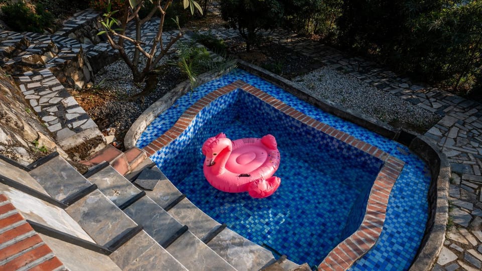 Day, Pool view, Swimming pool, sunbed