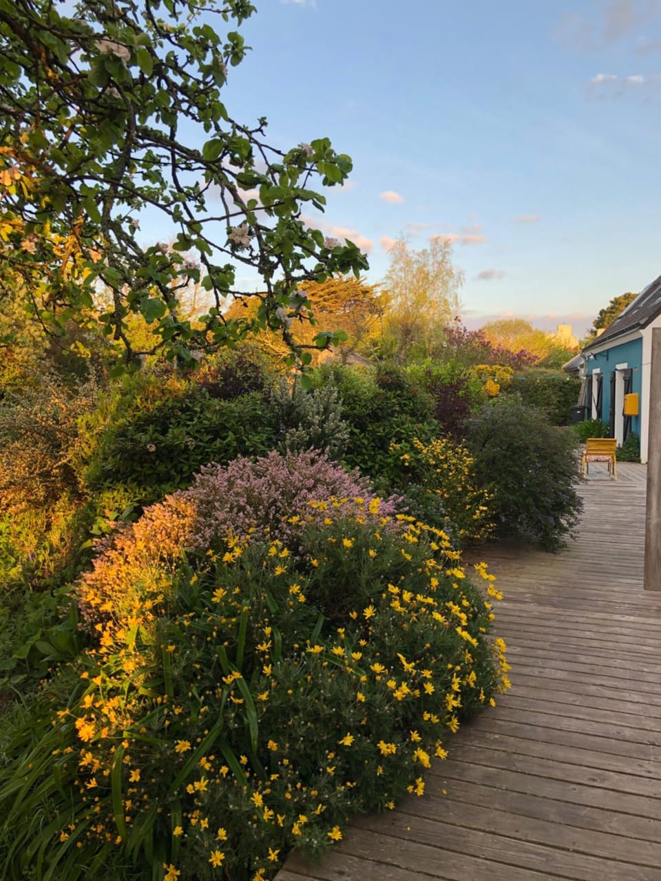 Les Chambres d'Hôtes de Bordustard Bed and Breakfast in Brittany