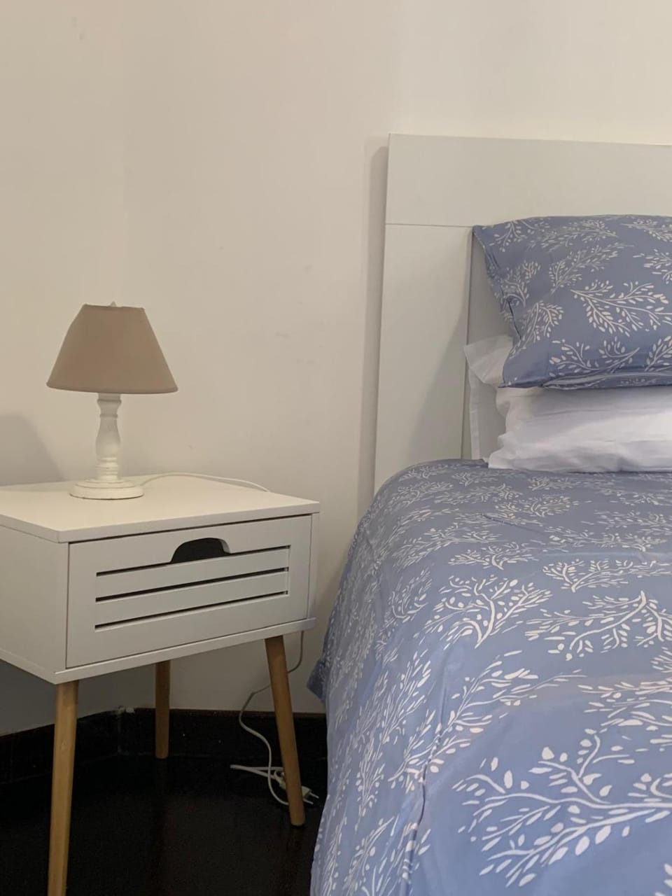 Anita's Luxury Home Apartment in Ostia