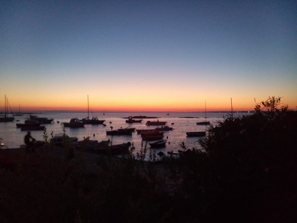 Night, Natural landscape