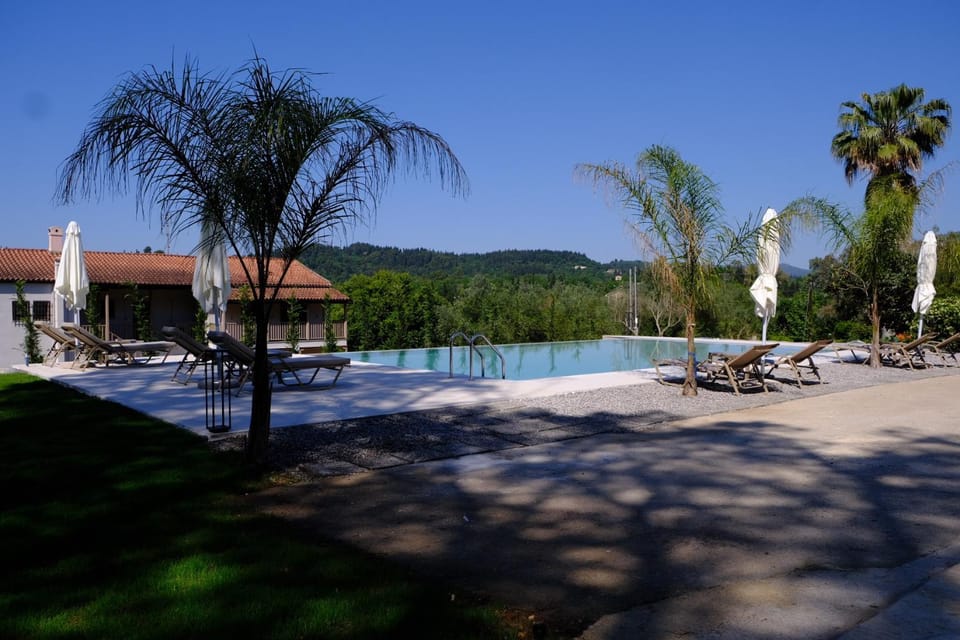 Garden, Swimming pool