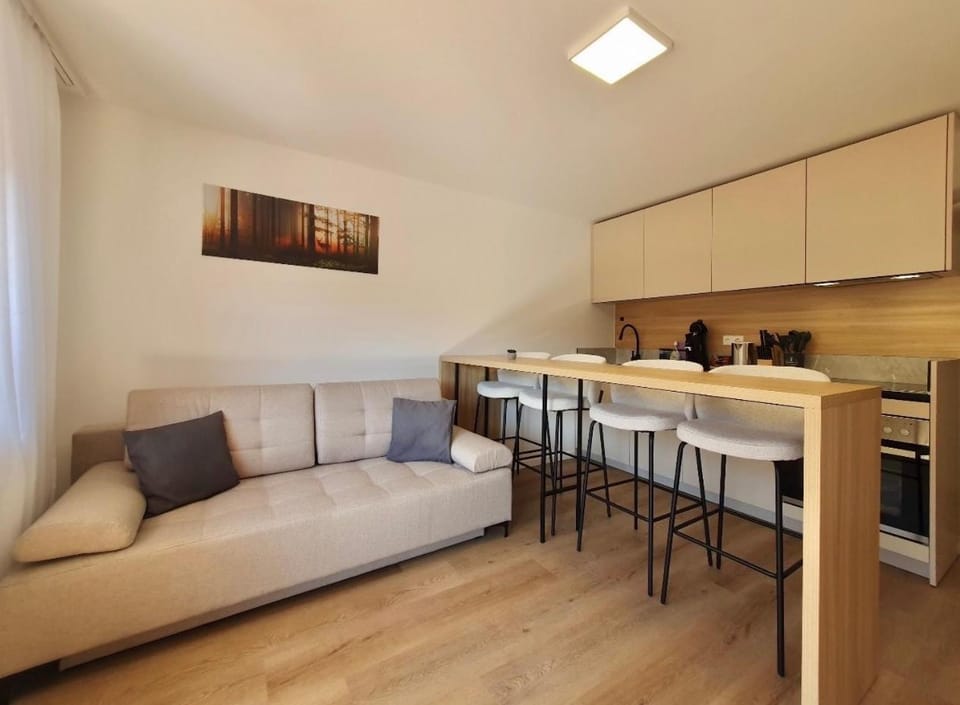 Kitchen or kitchenette, Living room, Seating area, Dining area