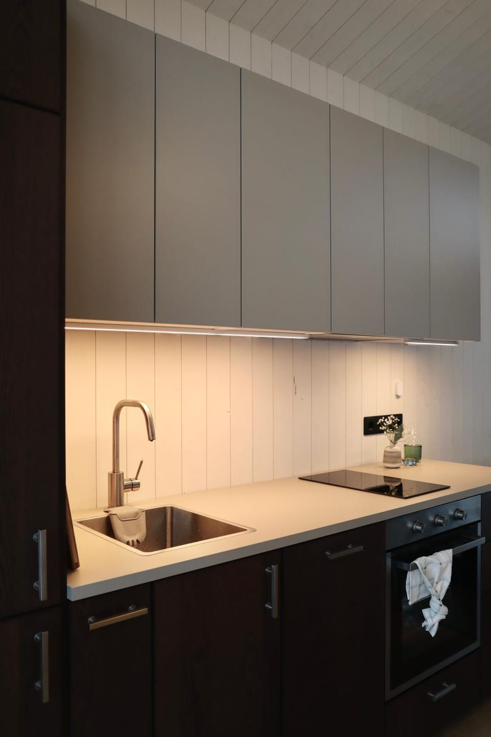Kitchen or kitchenette, pet friendly