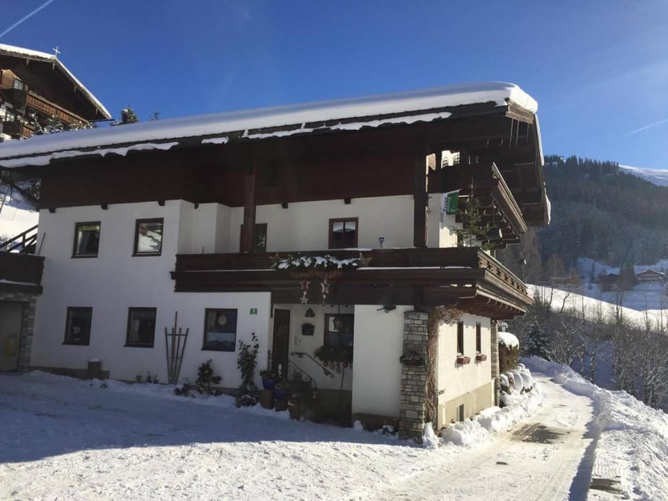 Haus Nelsen - Wohlfühlapartments mit HochkönigCard Apartment in Salzburgerland
